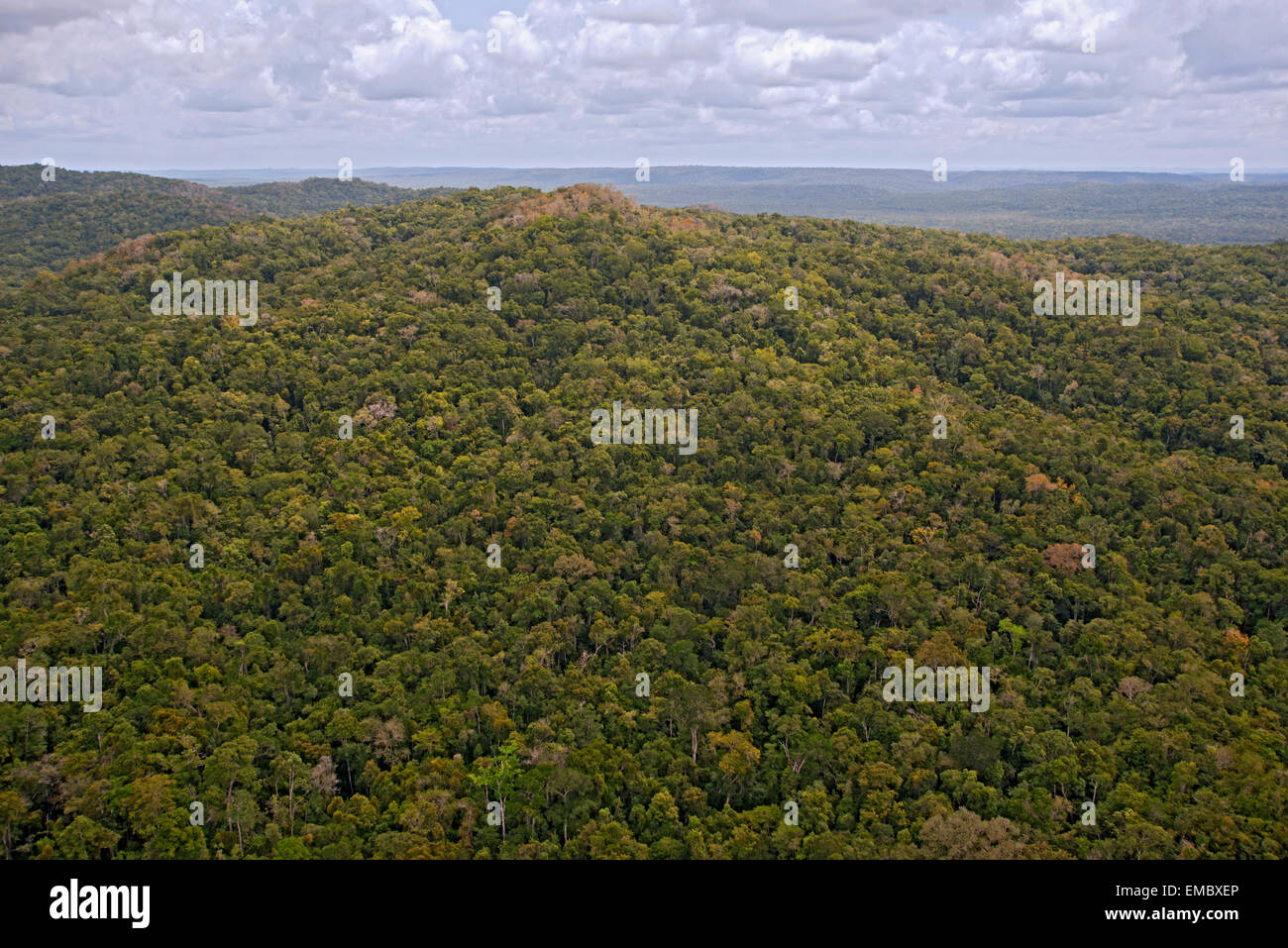 Luftaufnahme des guatemaltekischen Maya Biosphären-Reservat Stockfoto