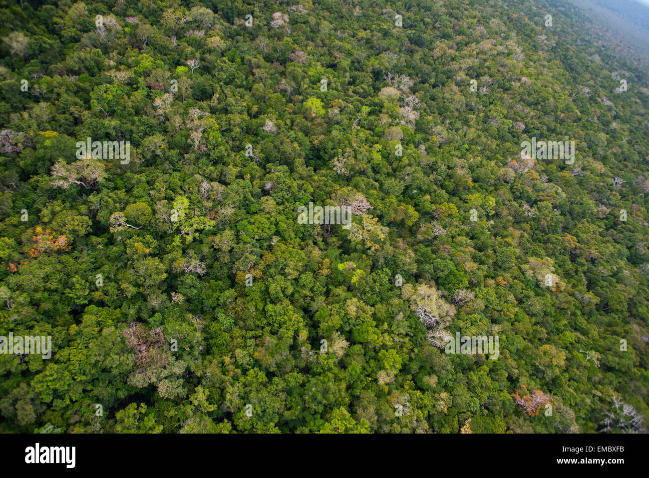 Luftaufnahme des guatemaltekischen Maya Biosphären-Reservat Stockfoto