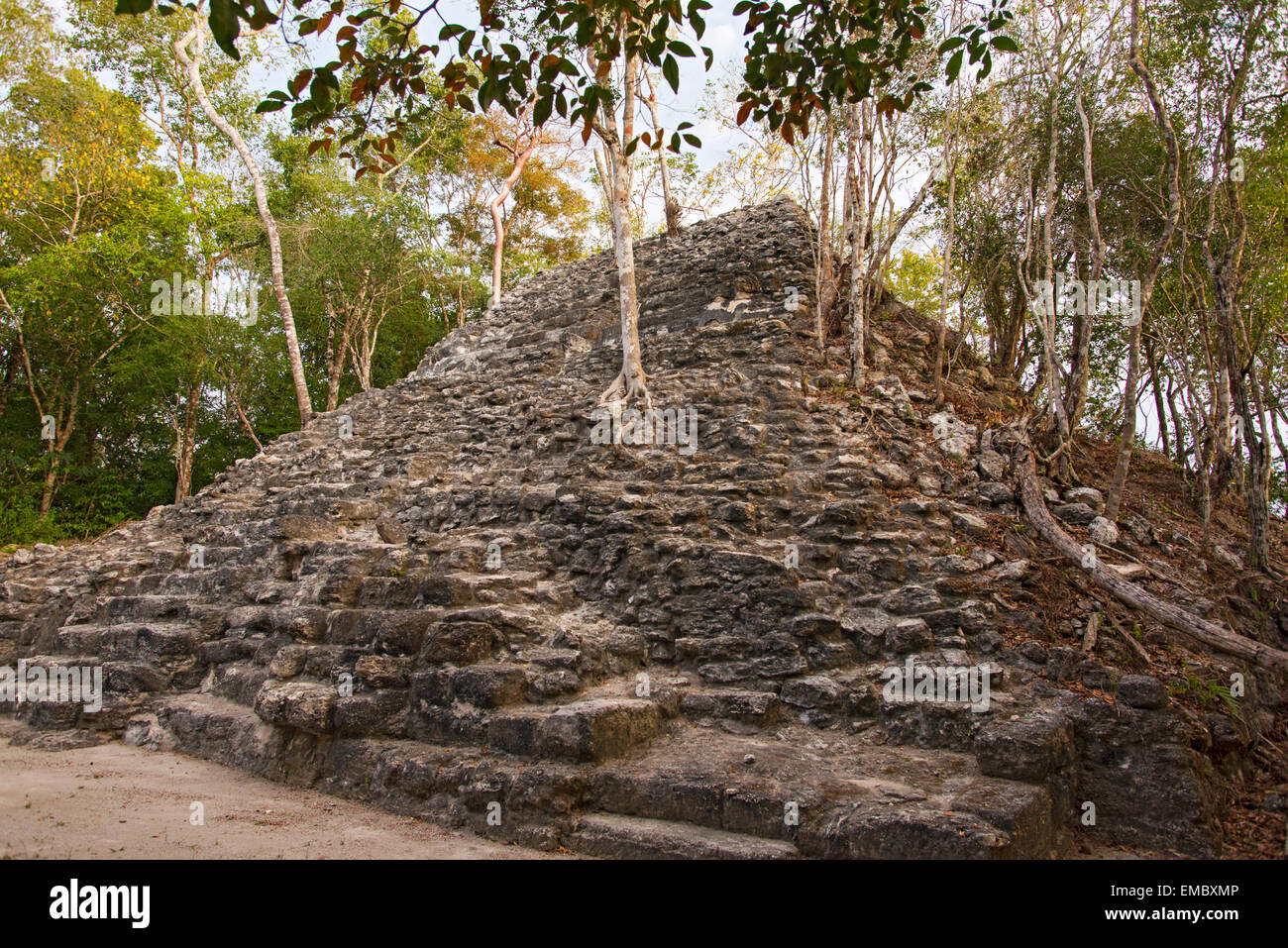 El Tigre-Tempel-Komplex, Guatemala Stockfoto