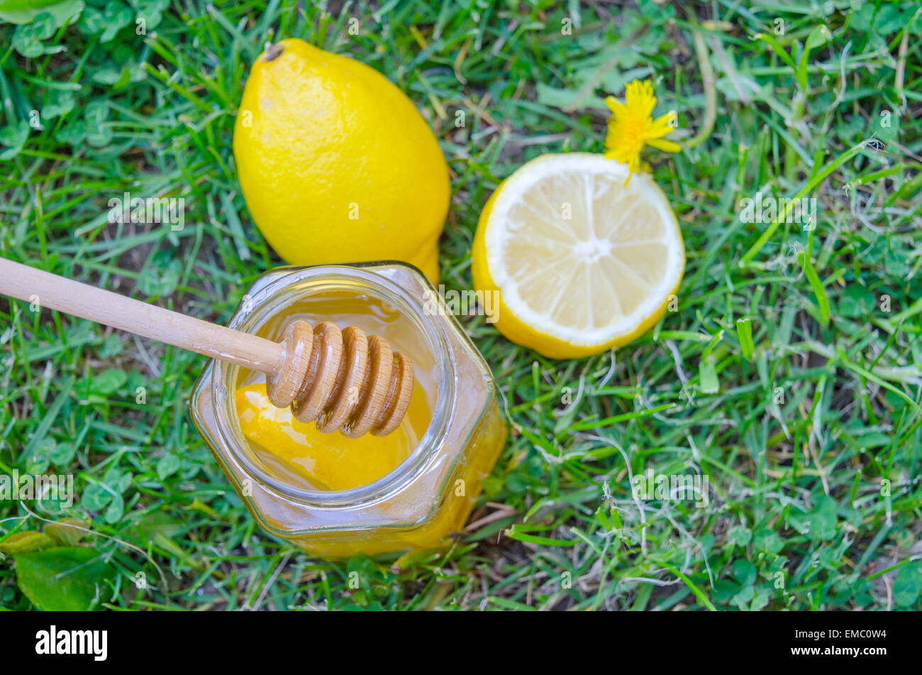 Glas Honig, Dipper, Zitrone und Löwenzahn auf der Wiese Stockfoto