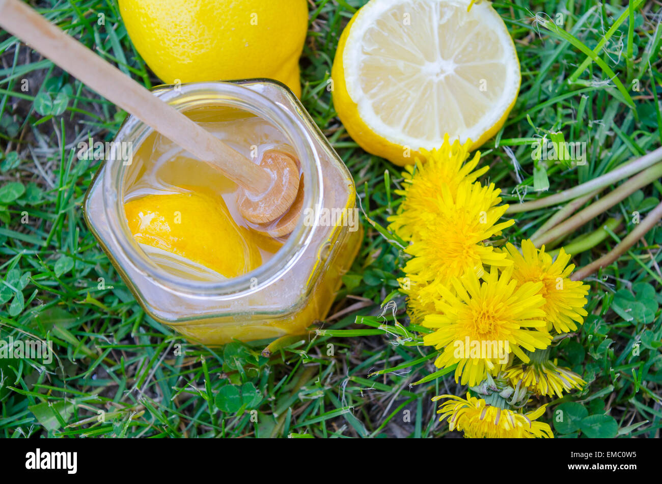 Glas Honig, Dipper, Zitrone und Löwenzahn auf der Wiese Stockfoto
