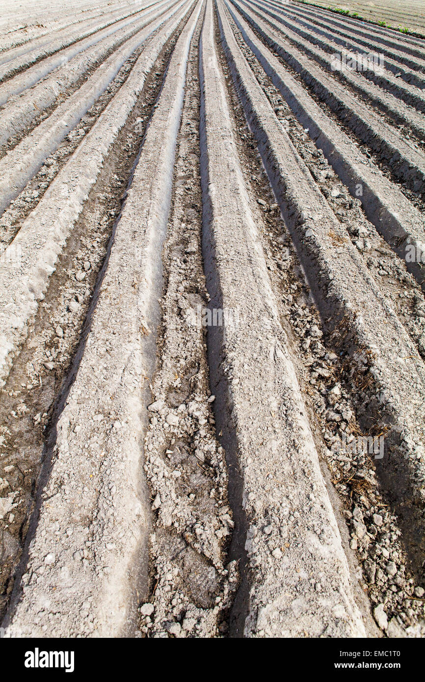 Gepflügtes Feld Stockfoto