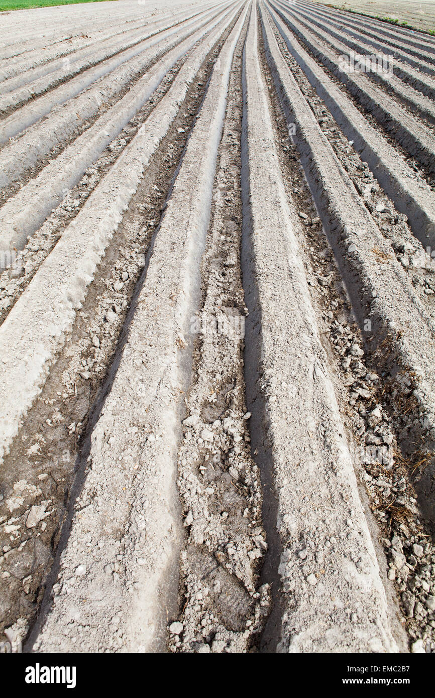 Gepflügtes Feld Stockfoto
