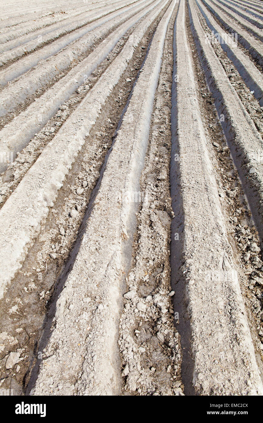 Gepflügtes Feld Stockfoto