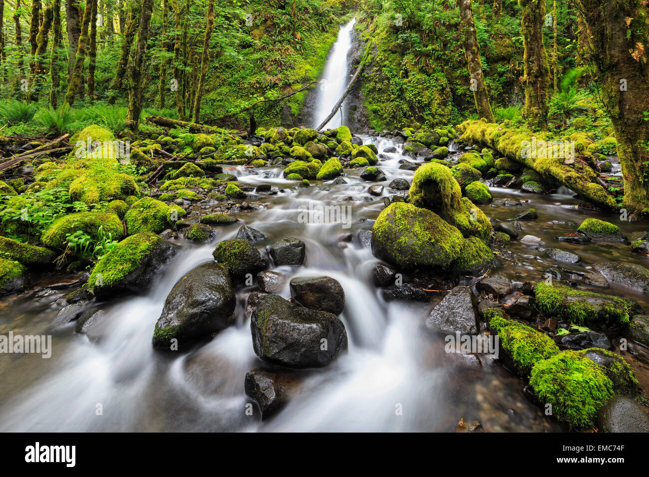 USA, Oregon, Hood River County, Columbia River Gorge, Ruckel Creek Falls Stockfoto