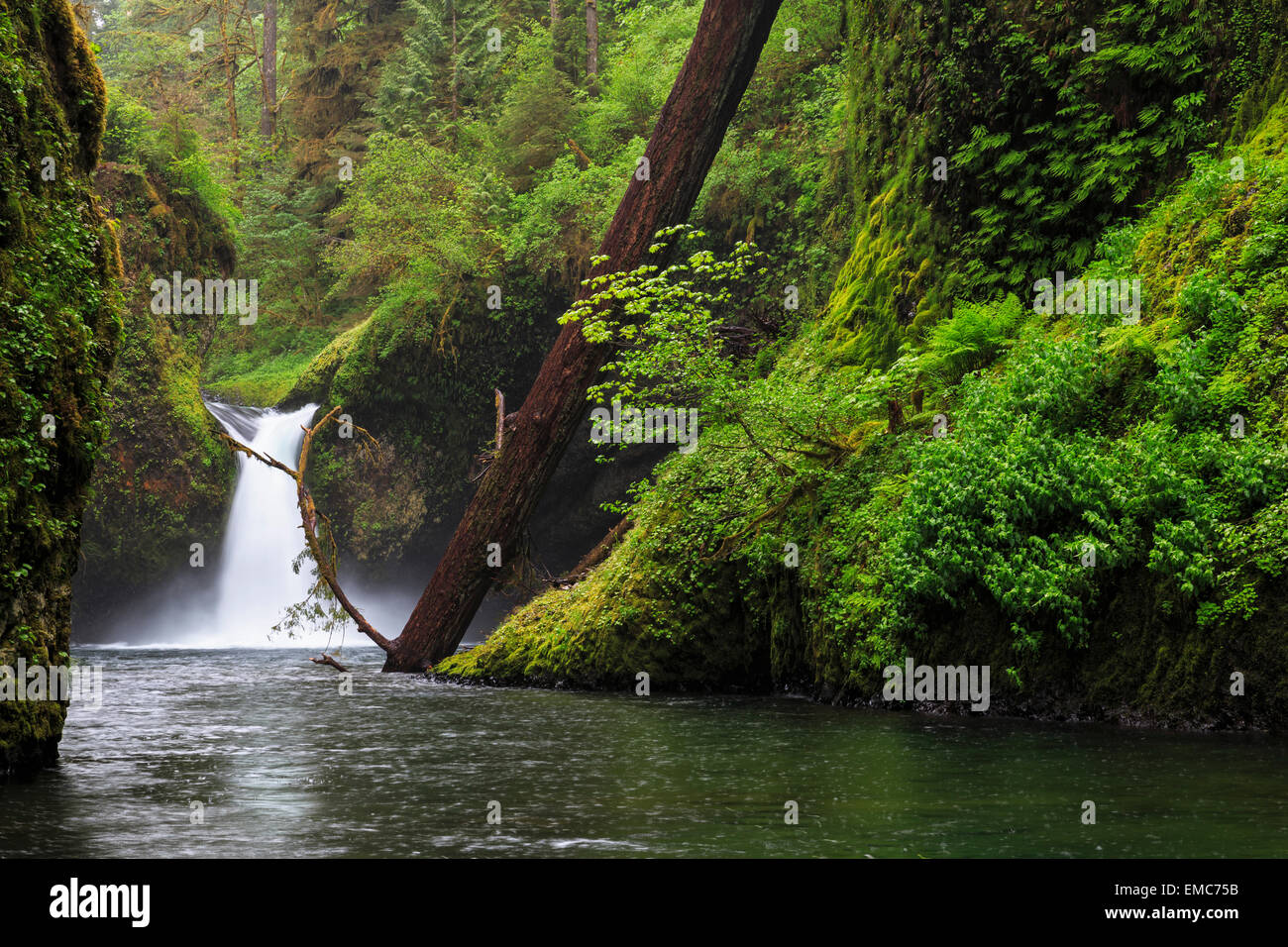 USA, Oregon, Hood River County, Columbia River Gorge, Bowle fällt Stockfoto