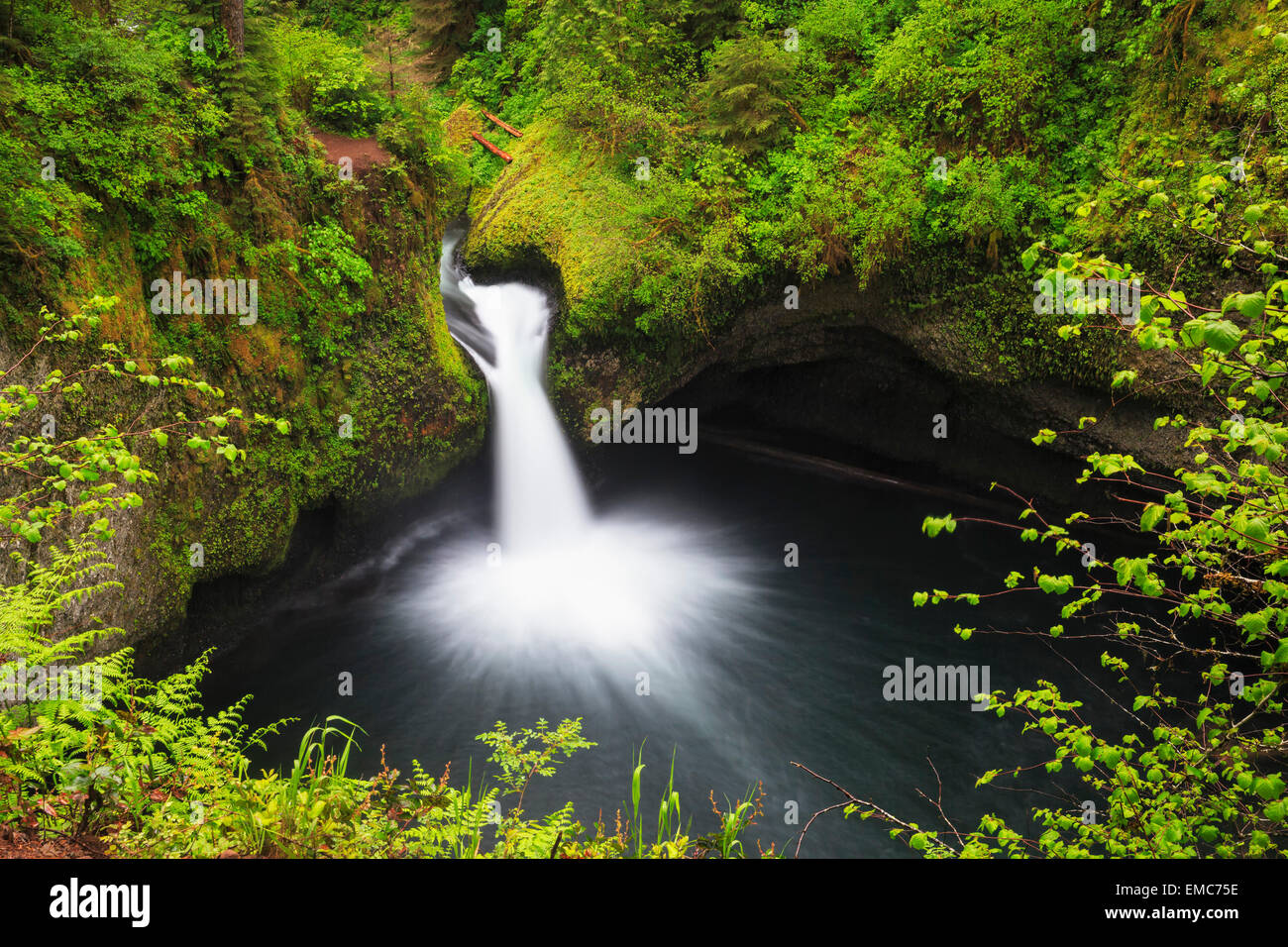 USA, Oregon, Hood River County, Columbia River Gorge, Bowle fällt Stockfoto