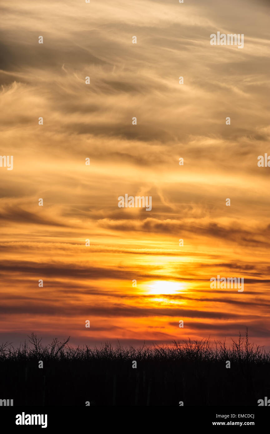 fliegende Vögel auf dramatischen Sonnenuntergang Hintergrund Stockfoto