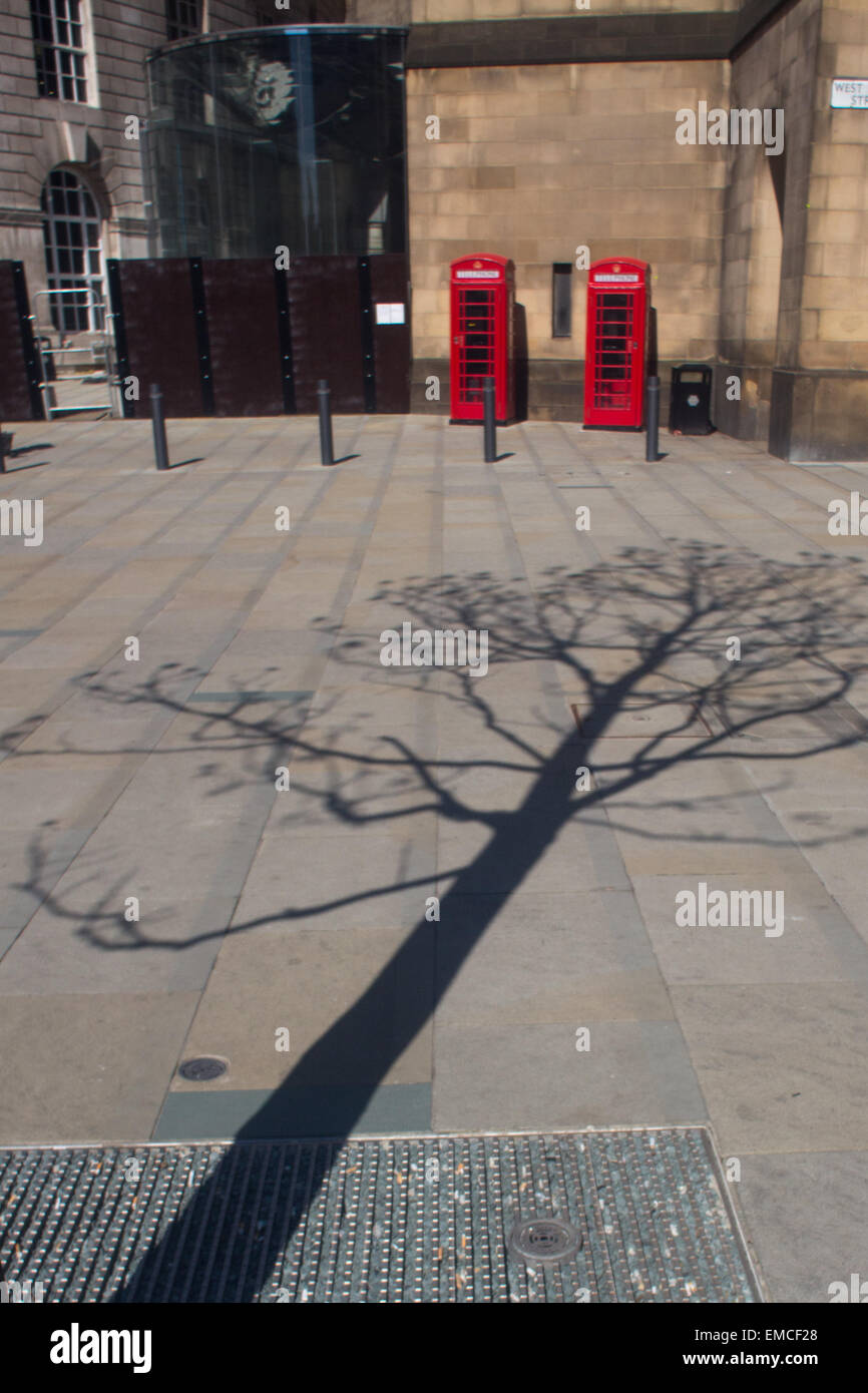 Ein einsamer Baum Projekte seinen Schatten auf die neu renovierte Fußgängerzone rund um die Central Library, Manchester Stockfoto