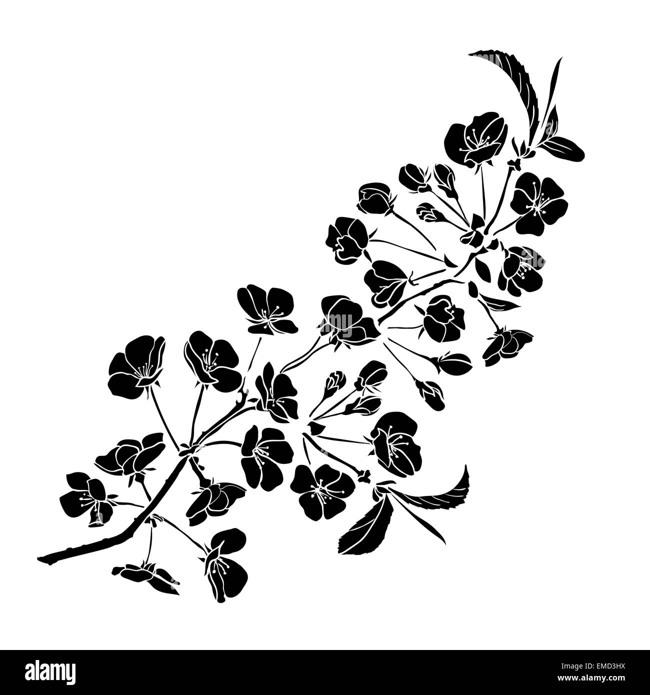 Zweig Sakura Blüten. Vektor-Illustration. Schwarze Kontur Stockfoto