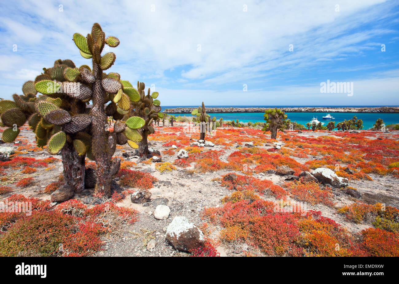 Insel South Plaza Stockfoto