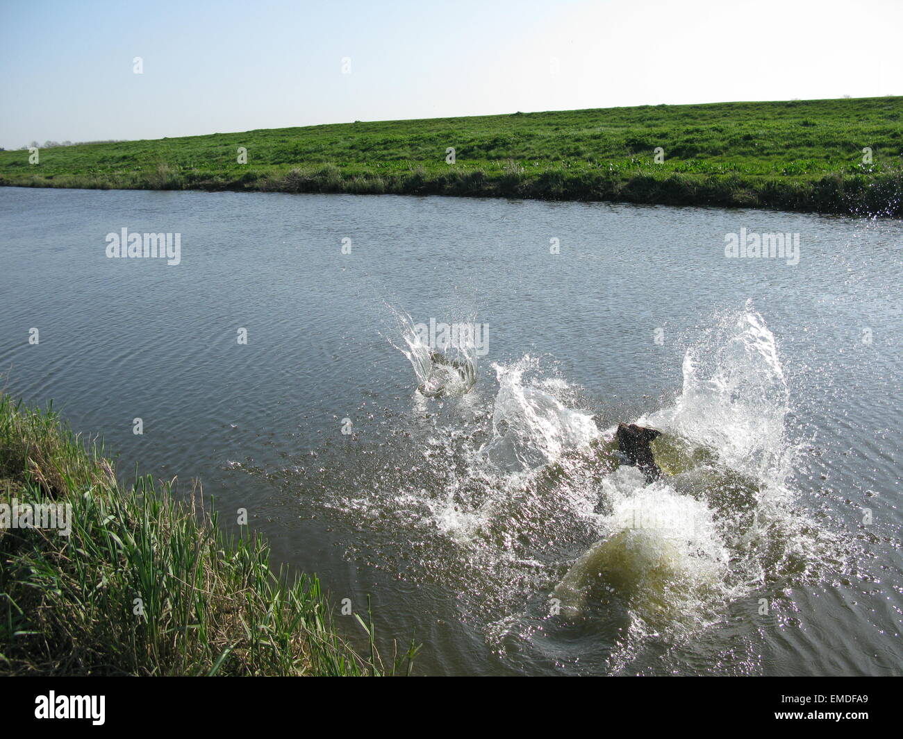 Splash Stockfoto