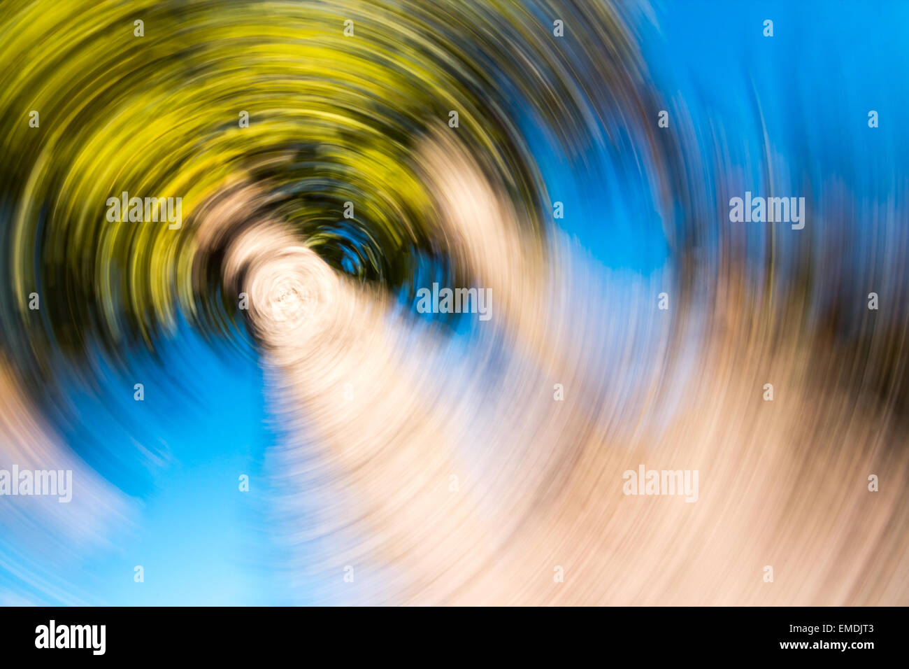 Palme radial blur. Stockfoto