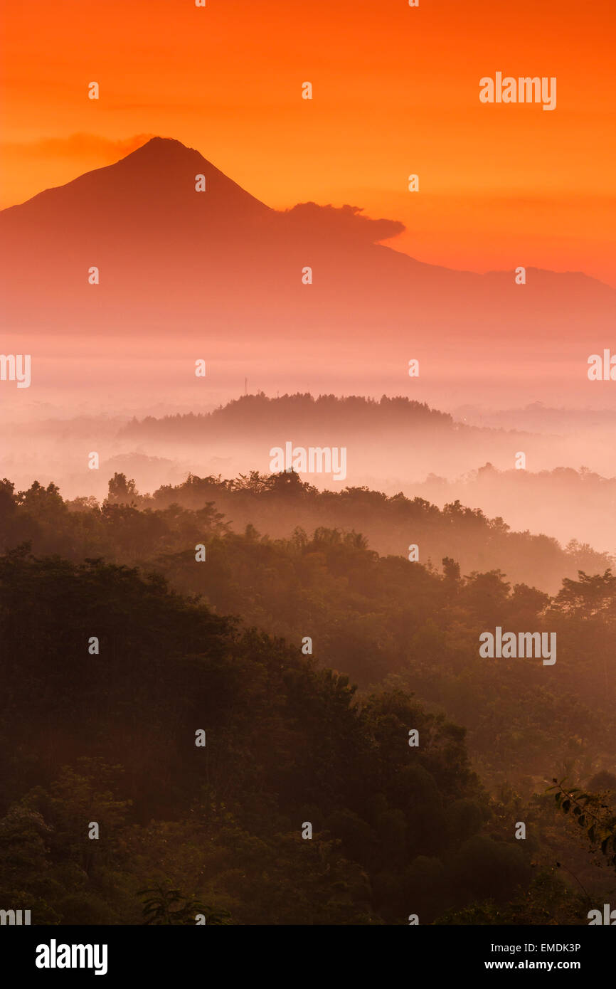 Dschungellandschaft im Morgengrauen in der Nähe von Borobudur Tempel. Magelang, Java. Indonesien, Asien. Stockfoto