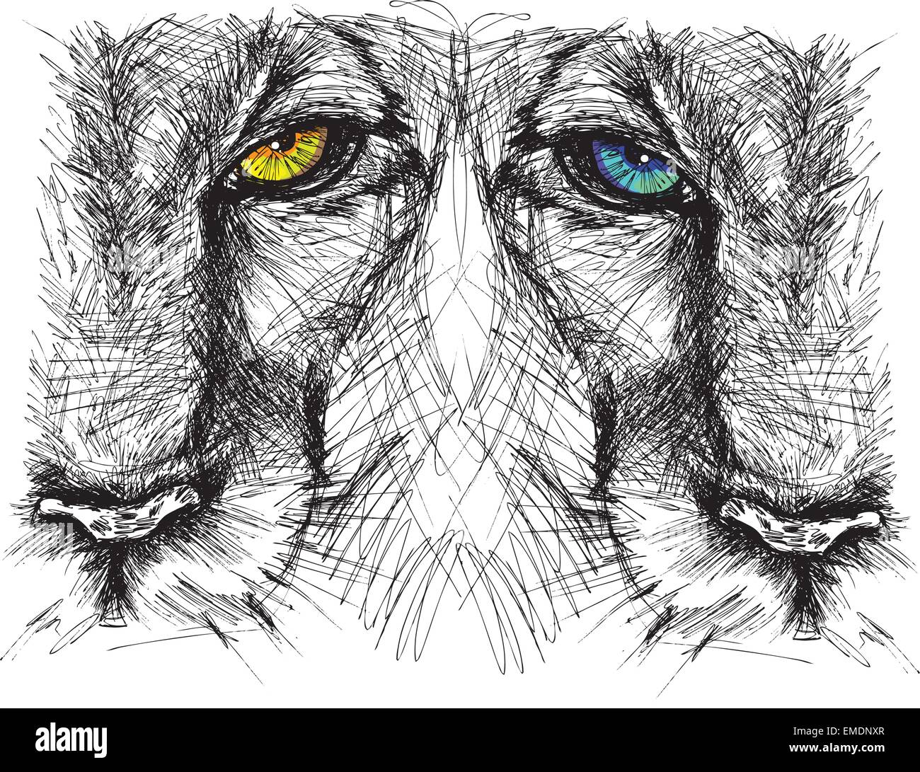 Handgezeichnete Skizze eines Löwen unverwandt in die Kamera schaut Stock Vektor