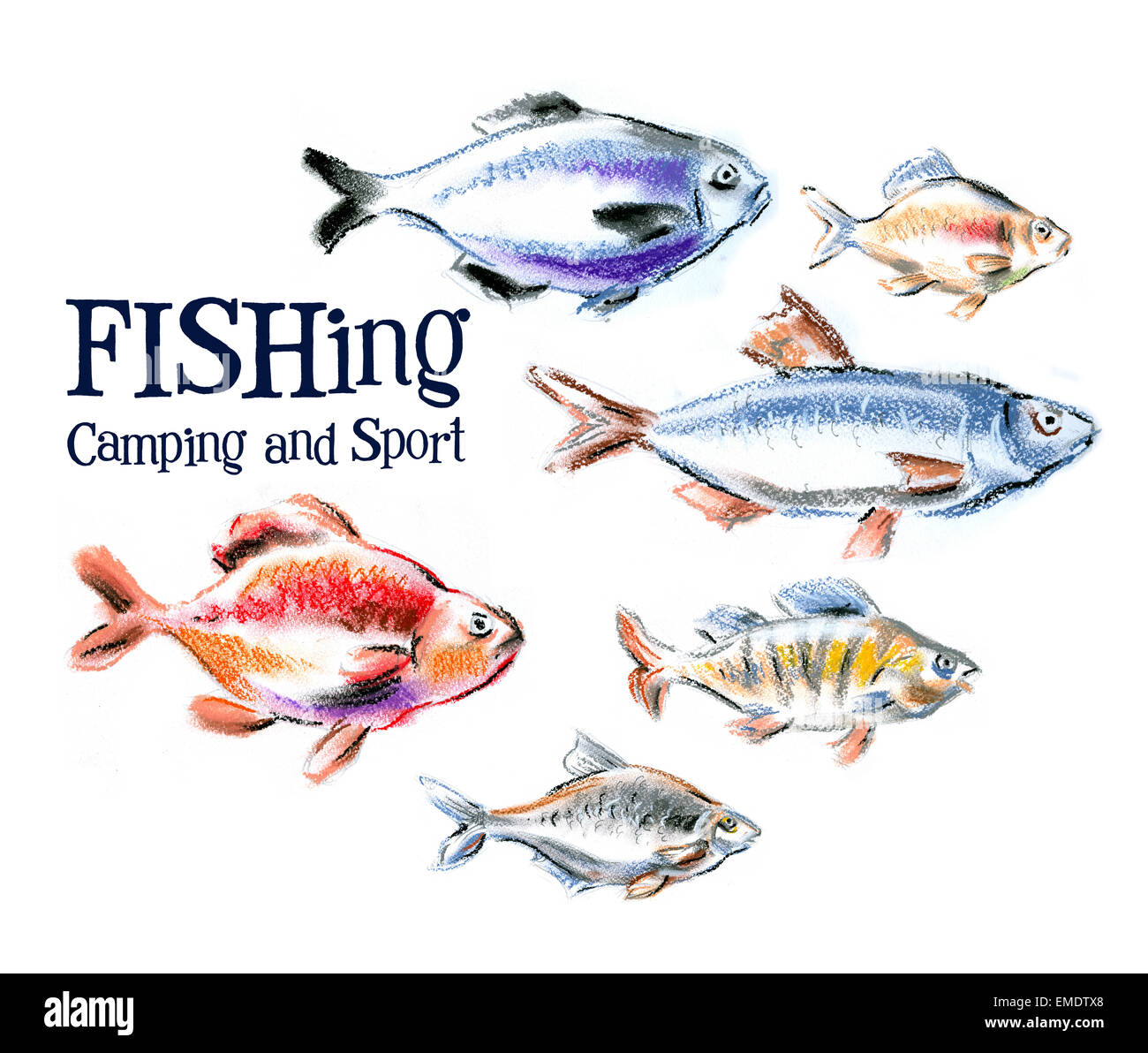 frischer Fisch und Meeresfrüchte auf weißem Hintergrund Stockfoto