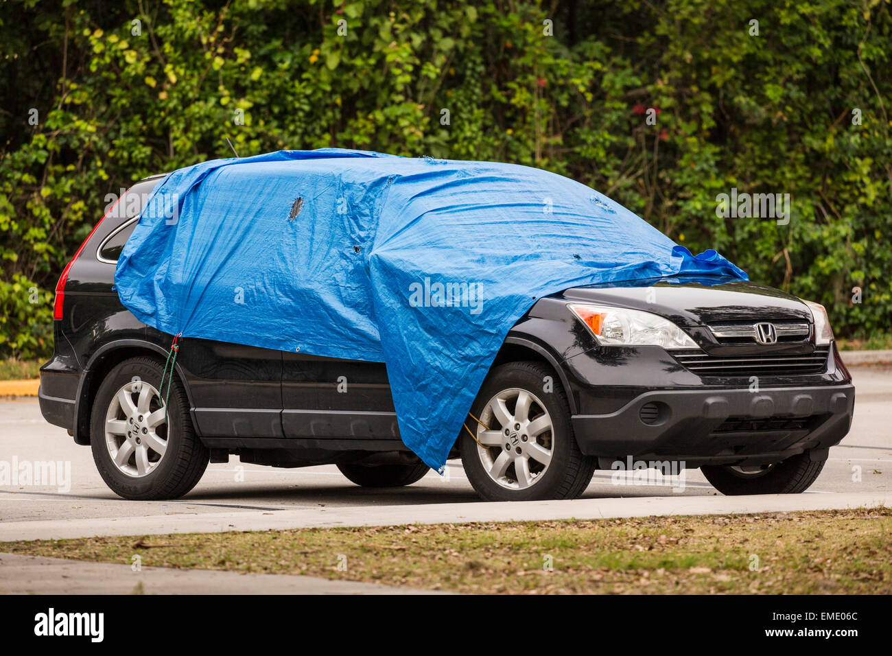 Tarps platziert über Fahrzeuge im Royal Palm Visitor Center in Florida Everglades schützt sie Geier. Stockfoto