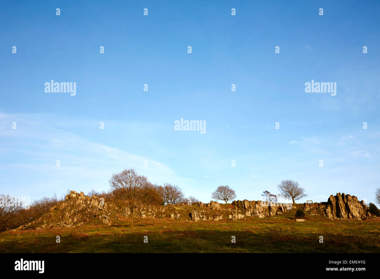 Blick auf die Landschaft am Beacon Hill Country Park, Leicestershire. Stockfoto