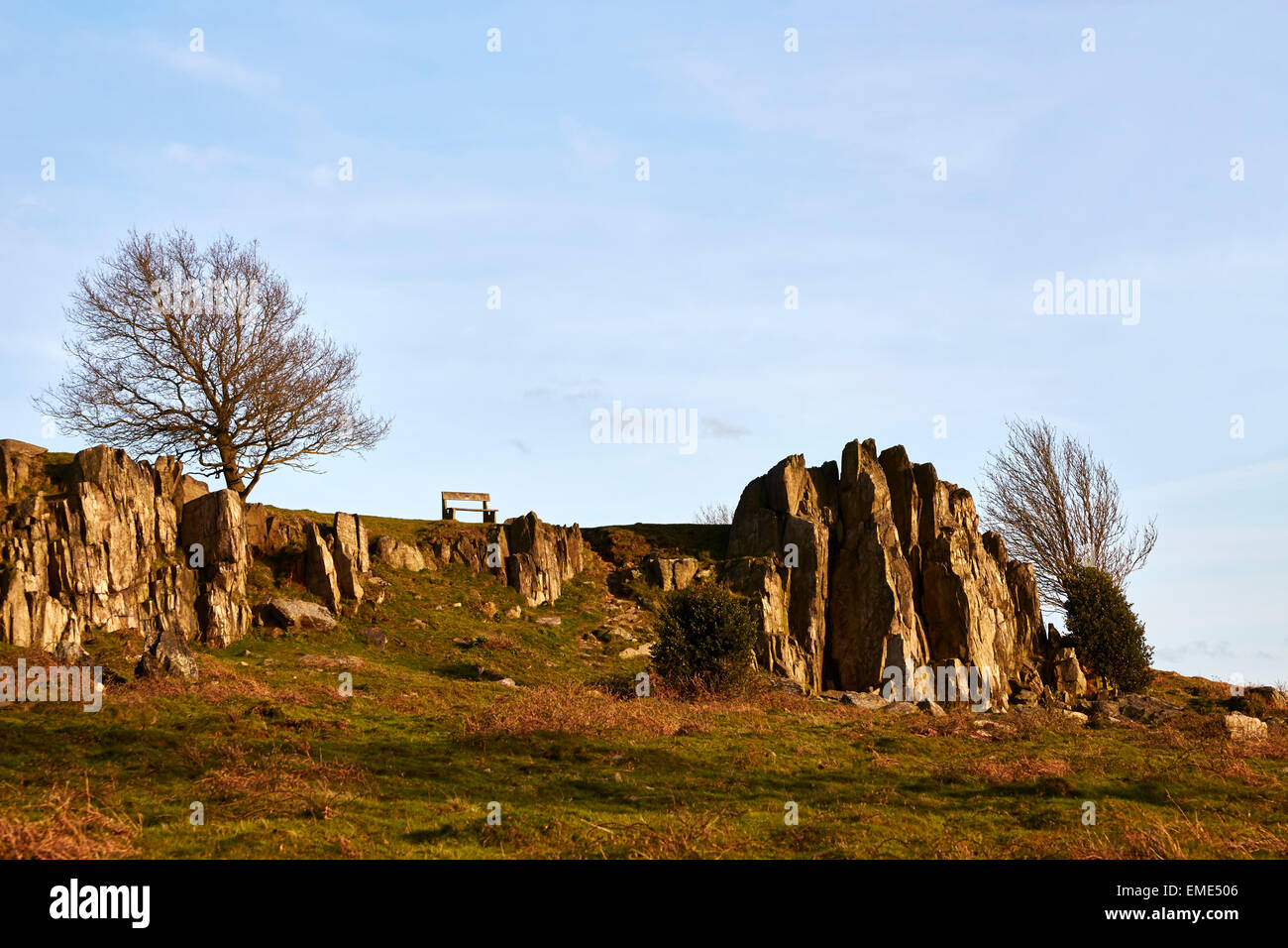Blick auf einer Bank am Beacon Hill Country Park, Leicestershire Stockfoto