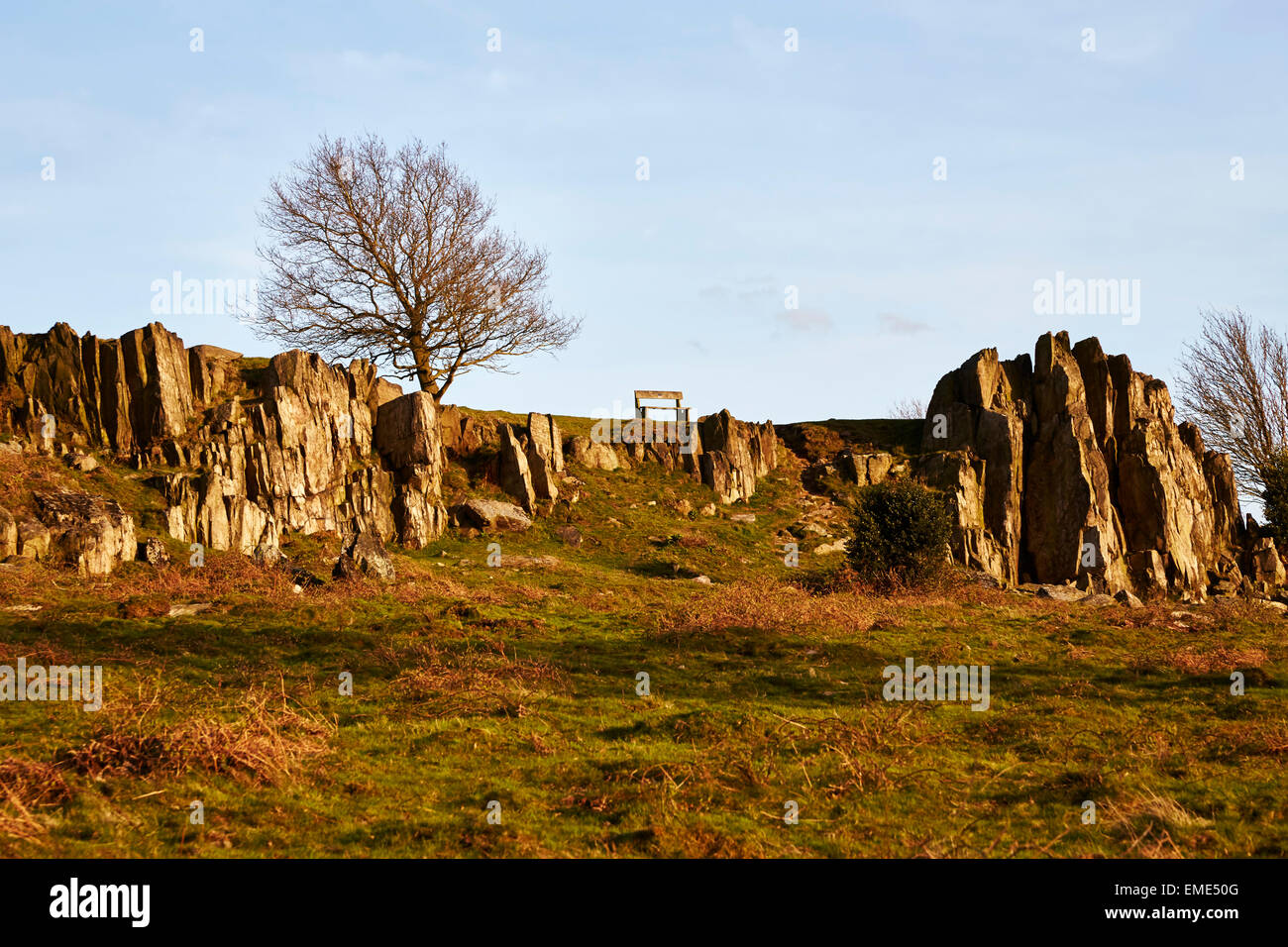 Blick auf einer Bank am Beacon Hill Country Park, Leicestershire Stockfoto