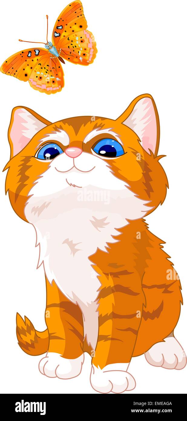 Betrachtet man einen Schmetterling Kätzchen Stock Vektor