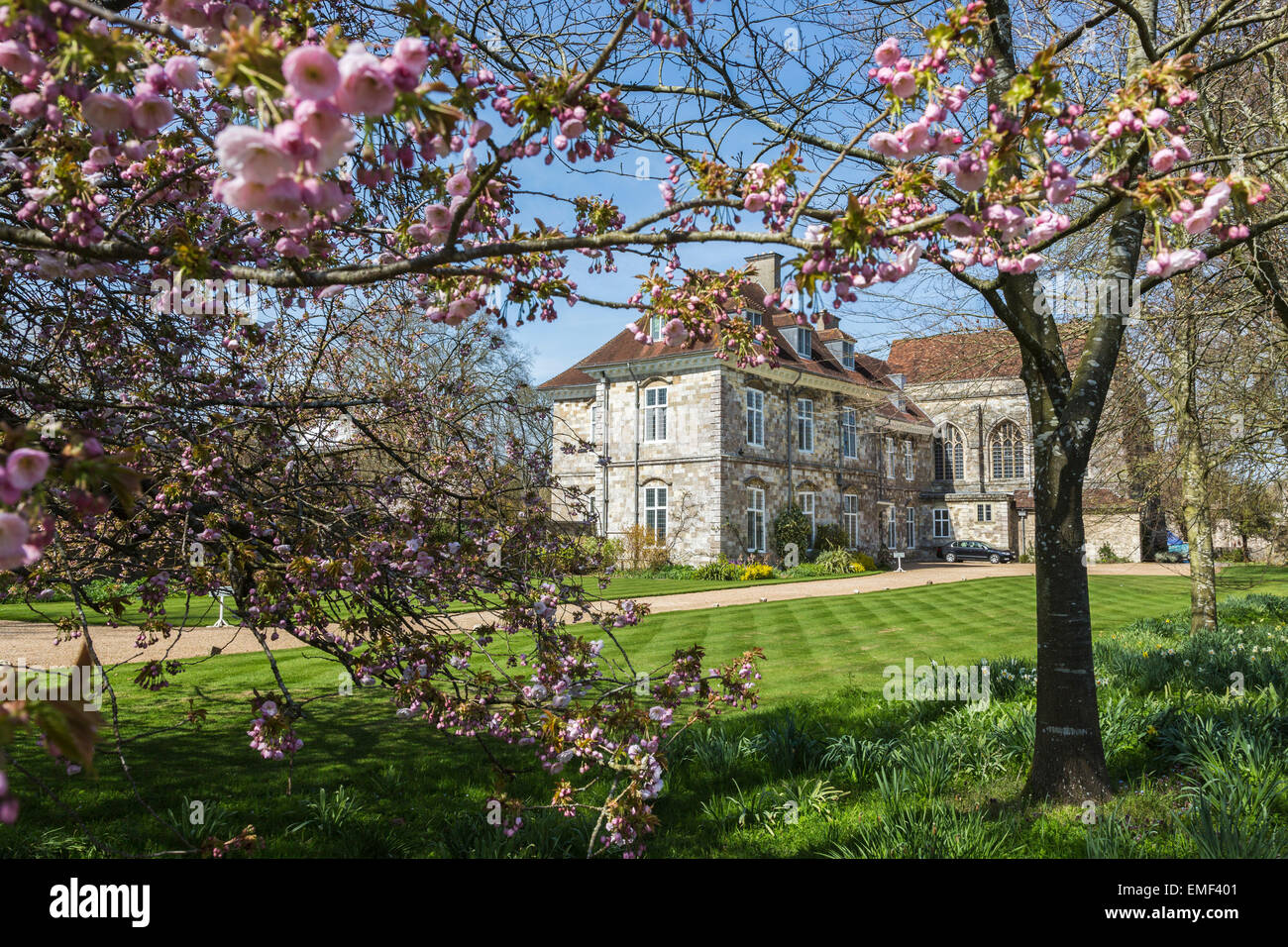 Historic Wolvesey Palast, der Amtssitz des Bischofs von Winchester, Winchester, Hampshire, England, an einem sonnigen Frühlingstag im April mit blauem Himmel Stockfoto