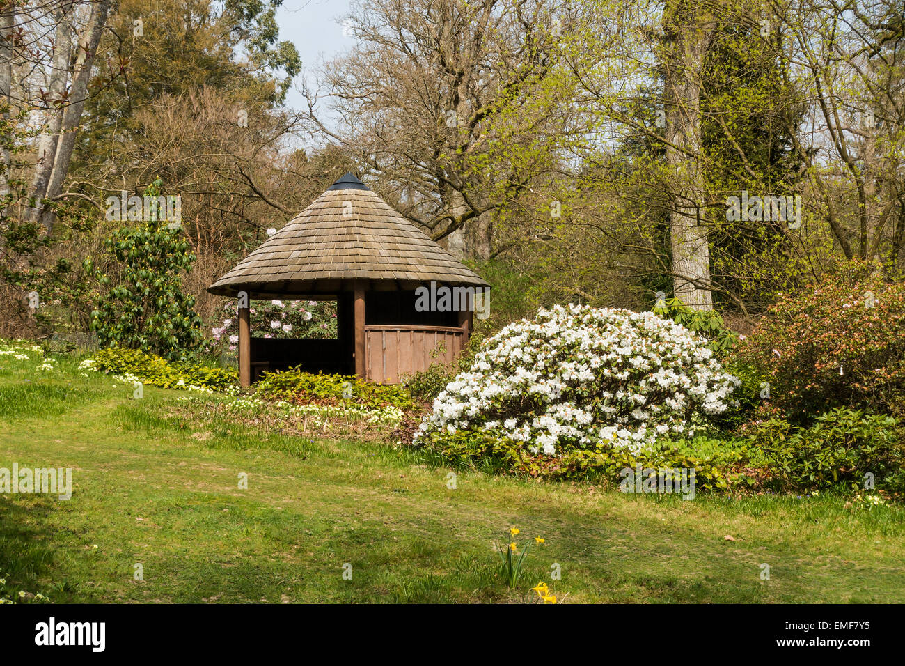 High Beeches Garten Handcross West Sussex UK im April Stockfoto