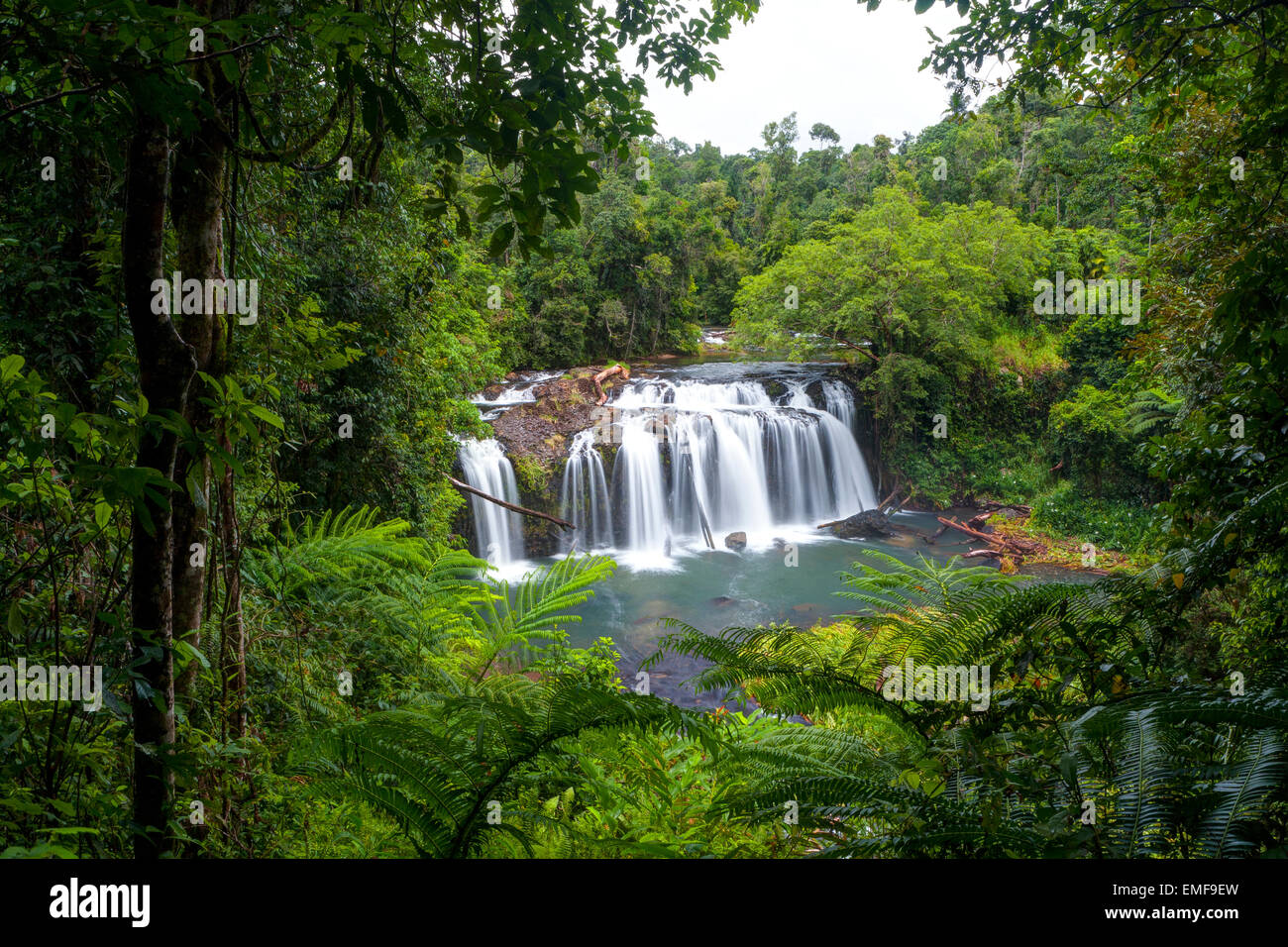 Wallicher fällt - Wooroonooran National Park - Queensland - Australien Stockfoto