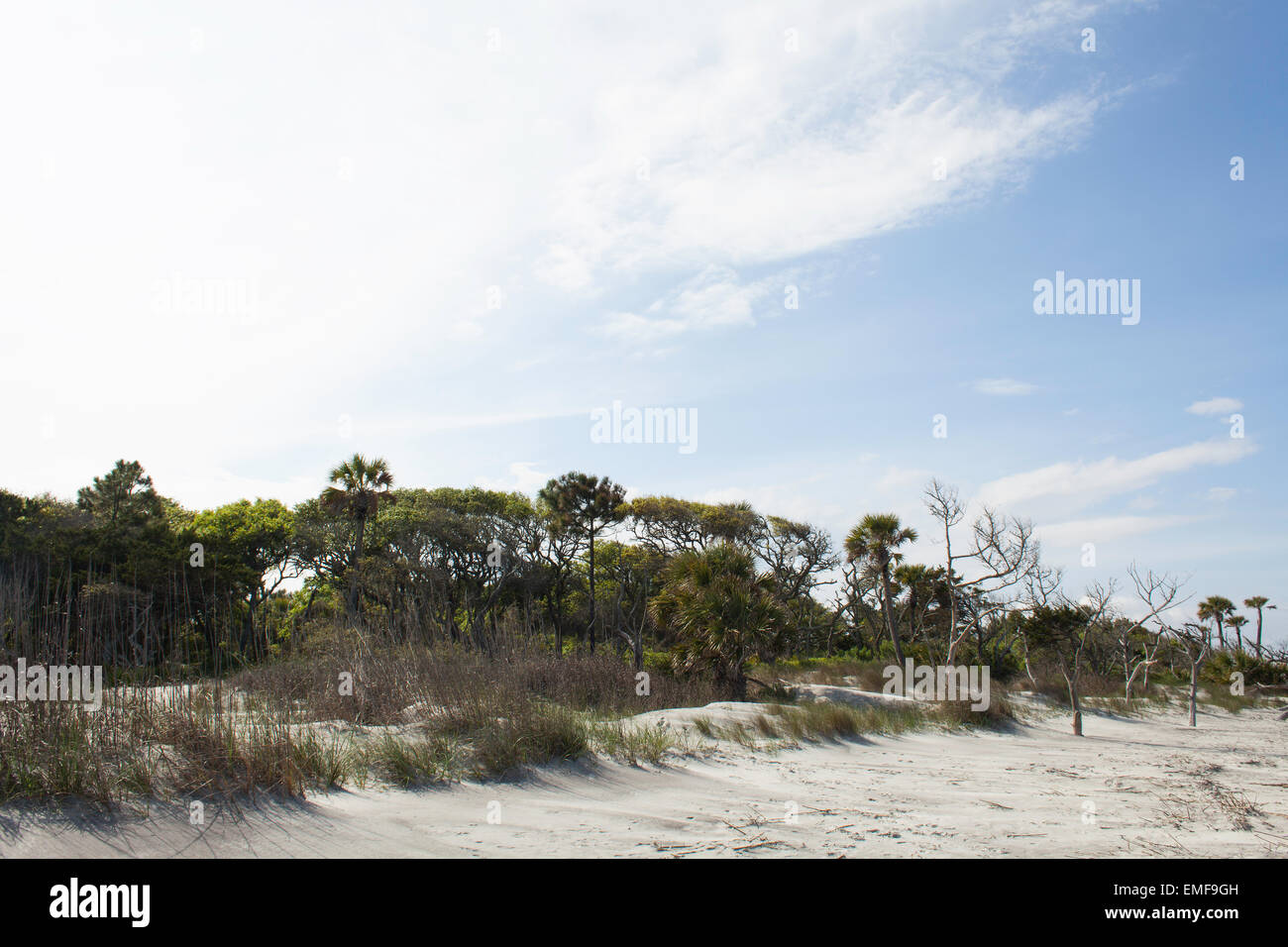 Folly Beach, South Carolina Stockfoto