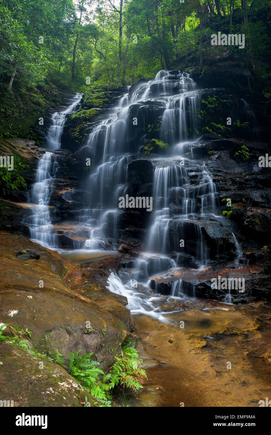 Sylvia fällt - Blue Mountains National Park - NSW - Australien Stockfoto