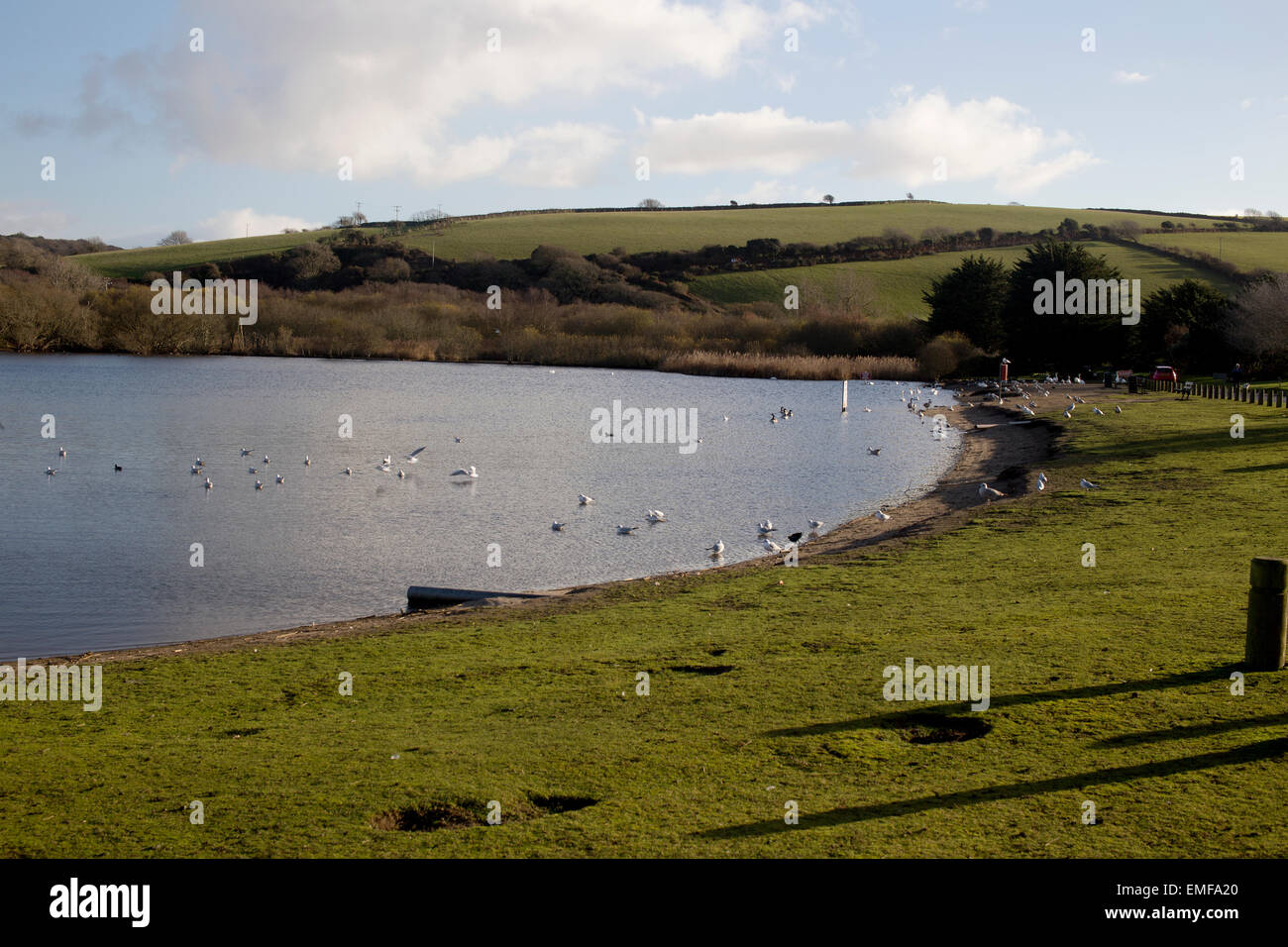 Par-Strand-Pool, ein beliebter Ort für die Fütterung der Enten, Par, Cornwall, England, UK. Stockfoto