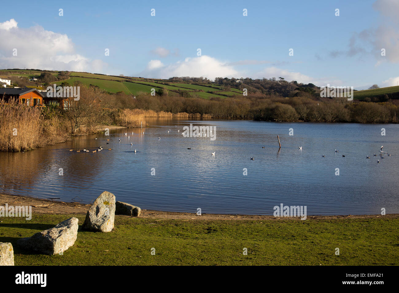 Par-Strand-Pool, ein beliebter Ort für die Fütterung der Enten, Par, Cornwall, England, UK. Stockfoto