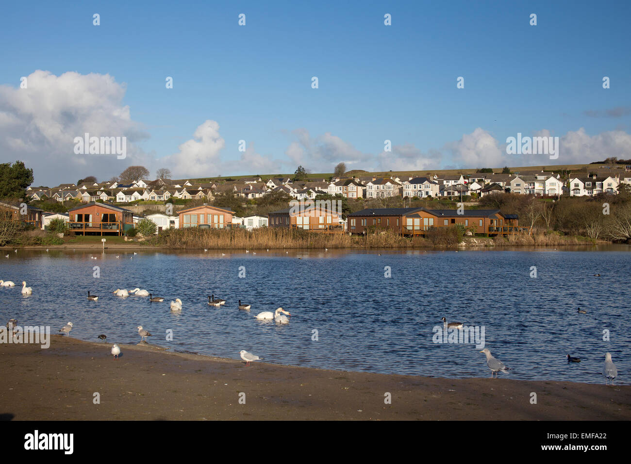 Par-Strand-Pool, ein beliebter Ort für die Fütterung der Enten, Par, Cornwall, England, UK. Stockfoto