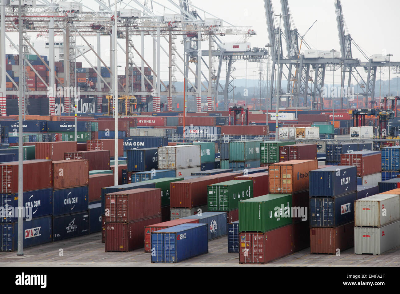DP World Container-Hafen Southampton Docks Stockfoto