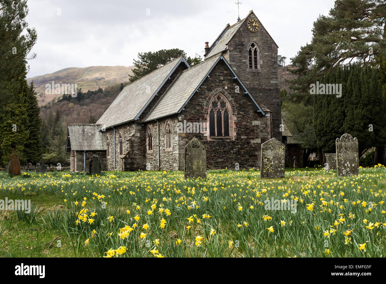 Frühlingsblumen auf dem Friedhof der St. Patricks Kirche im Dorf Patterdale, Lake District Cumbria England UK Stockfoto
