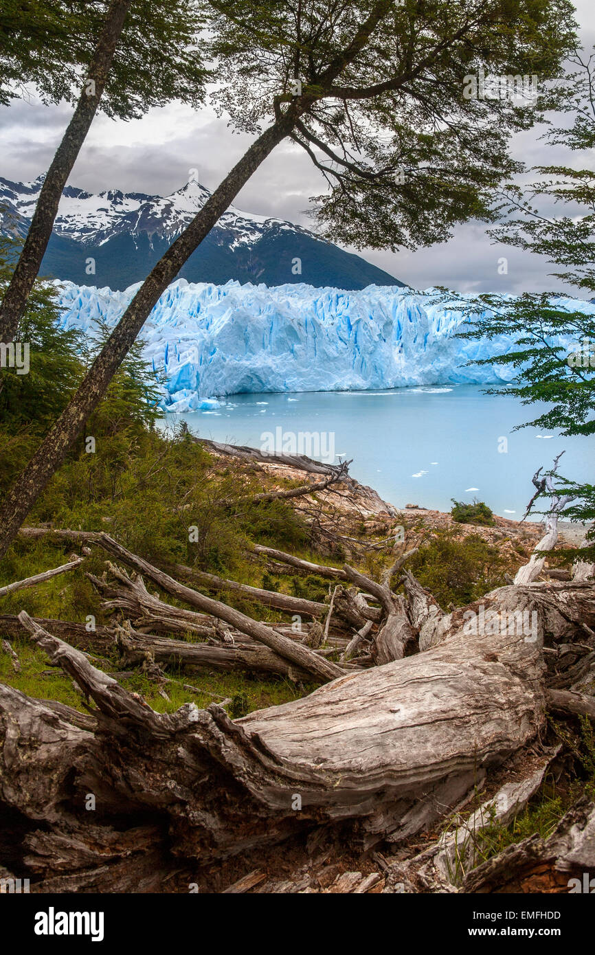 Der Perito-Moreno-Gletscher ist ein Gletscher befindet sich im Los Glaciares Nationalpark in Patagonien, Argentinien. Stockfoto