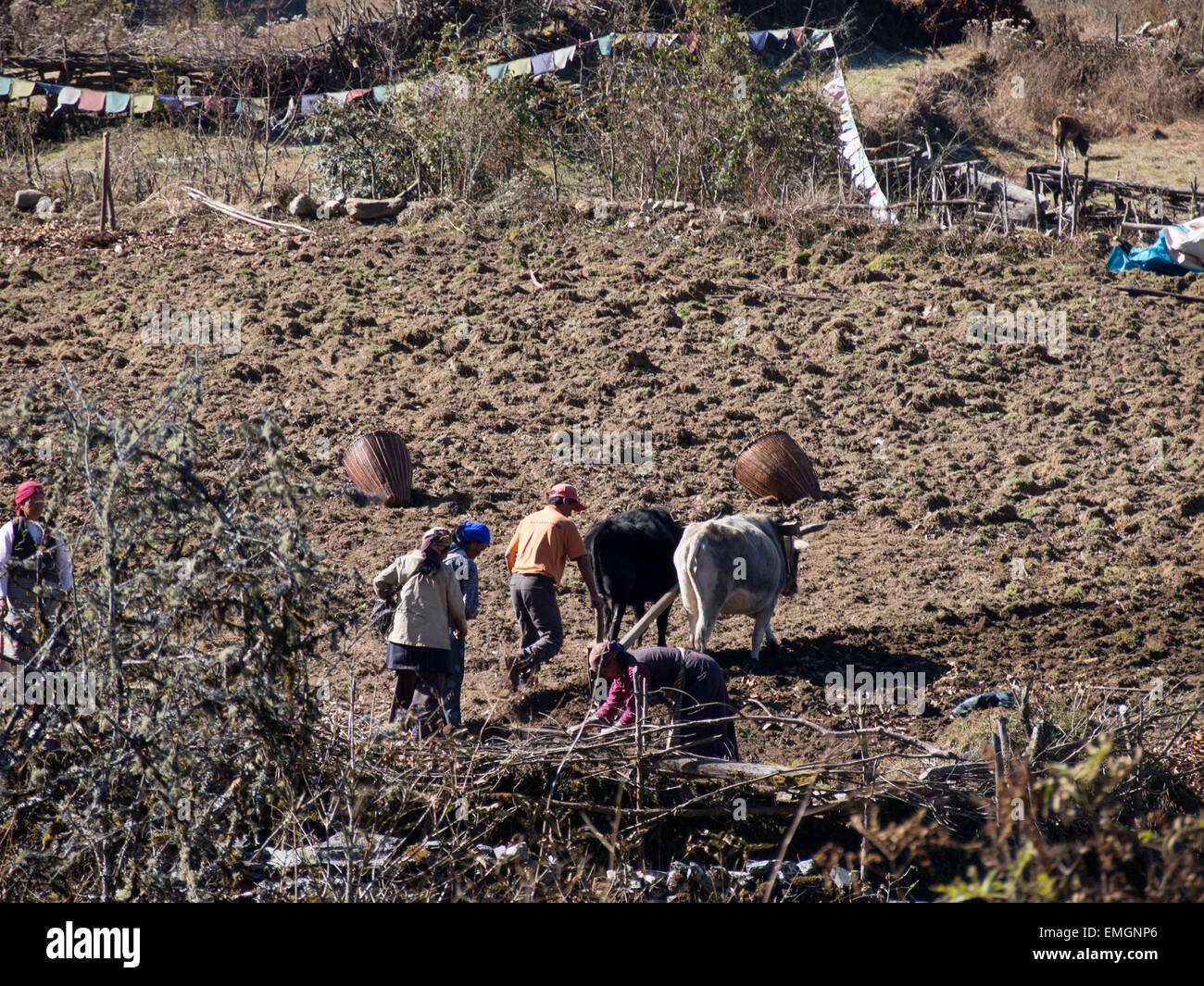 Subsistence Fotos und Bildmaterial in hoher Auflösung Alamy