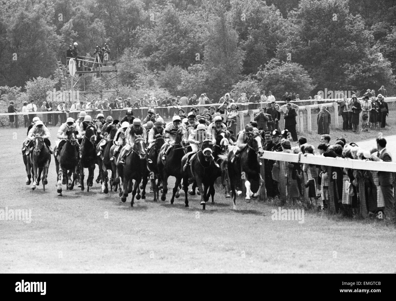 1965 Epsom Derby Pferderennen. Maßnahmen auf der siebten Furlong post mit französischen Pferd Sea Bird II von Jockey Pat Glennon Box in der Mitte der Packung geritten. 2. Juni 1965. Stockfoto