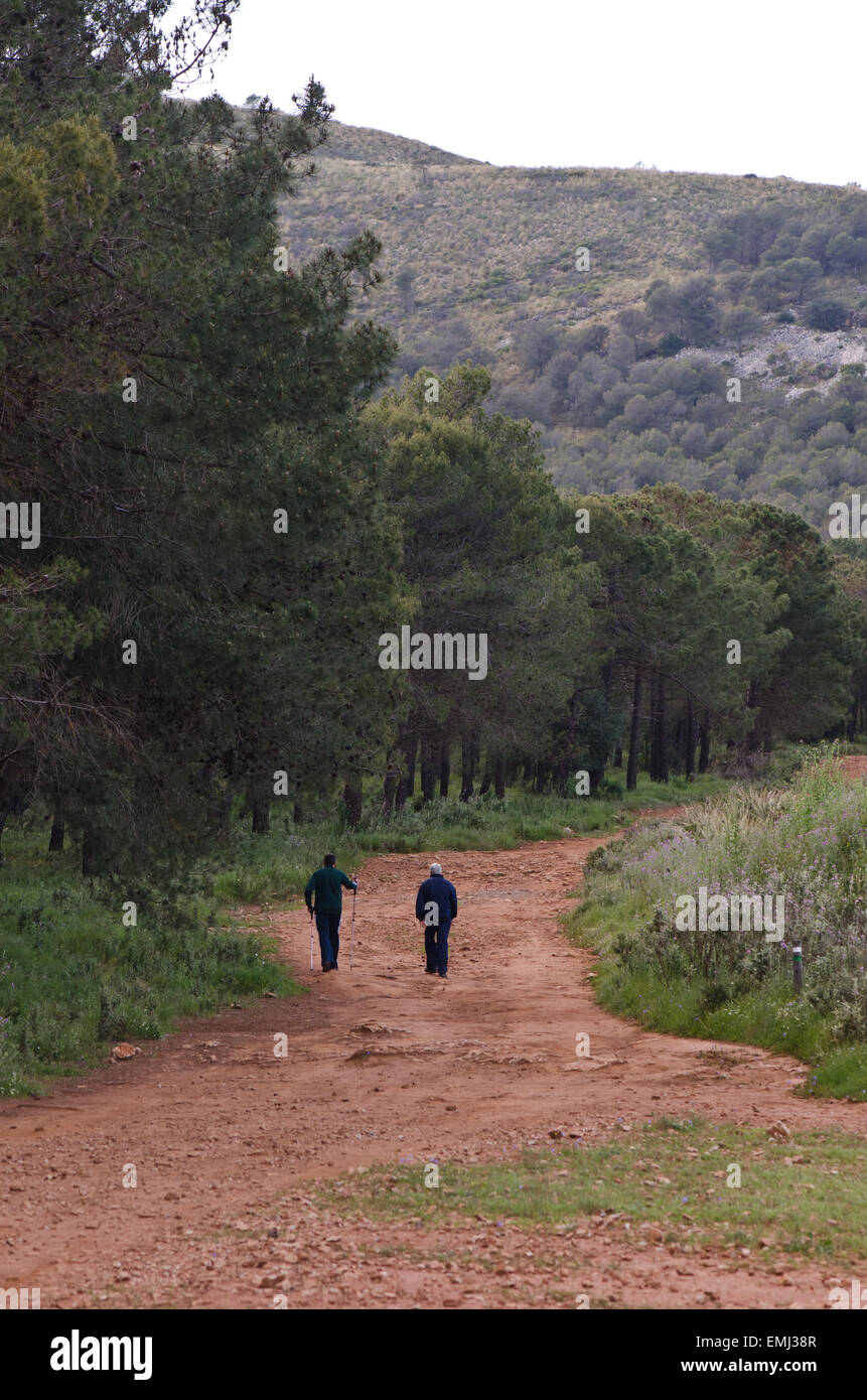 Zwei Wanderer auf Spuren in der Landschaft, neben Kiefer Wald, Andalusien, Südspanien. Stockfoto