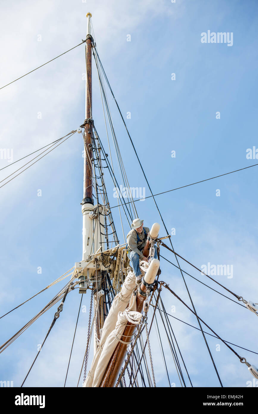 Galveston, TX, USA - 31. Oktober 2014 - Mann arbeitet auf einem Segelboot mast Stockfoto