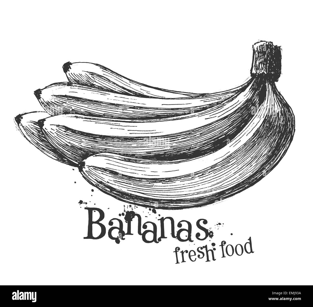 Bananen auf einem weißen Hintergrund. Skizze Stockfoto