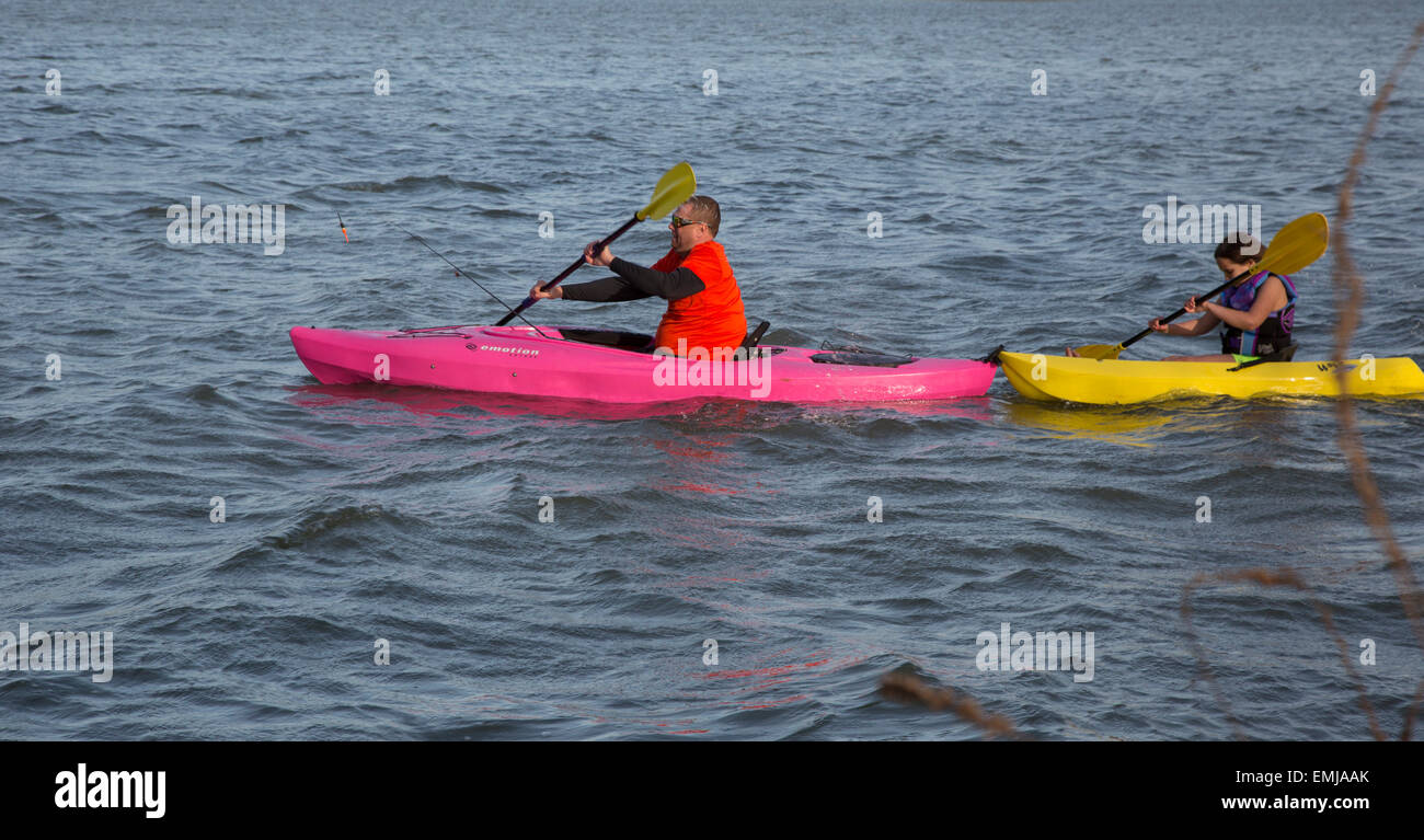 Monroe, Michigan - Kajaks an einer Lagune im Sterling State Park. Stockfoto