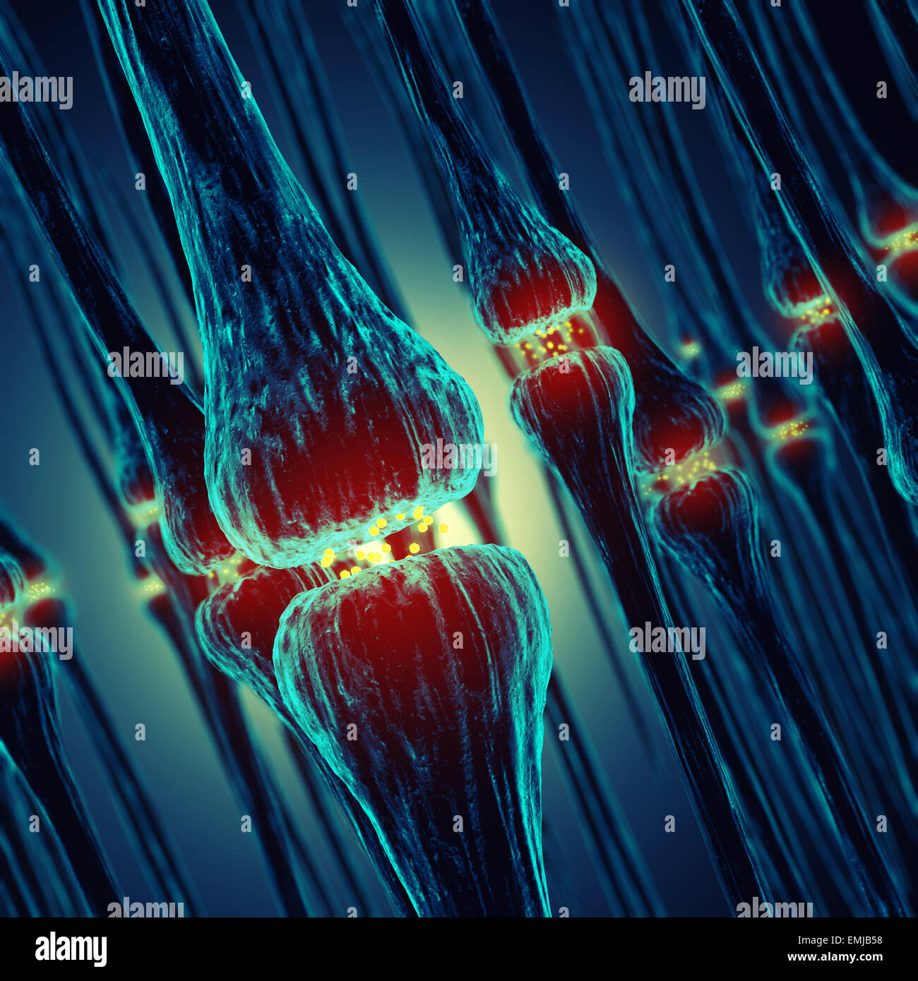 Synaptische Übertragung, menschlichen Nervensystem Synapsen Stockfoto