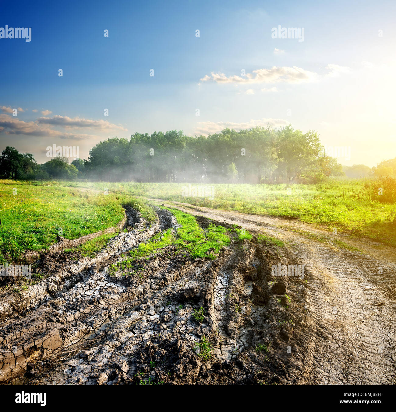 Nebel über verschwommenes Straße in Landschaft am Morgen Stockfoto