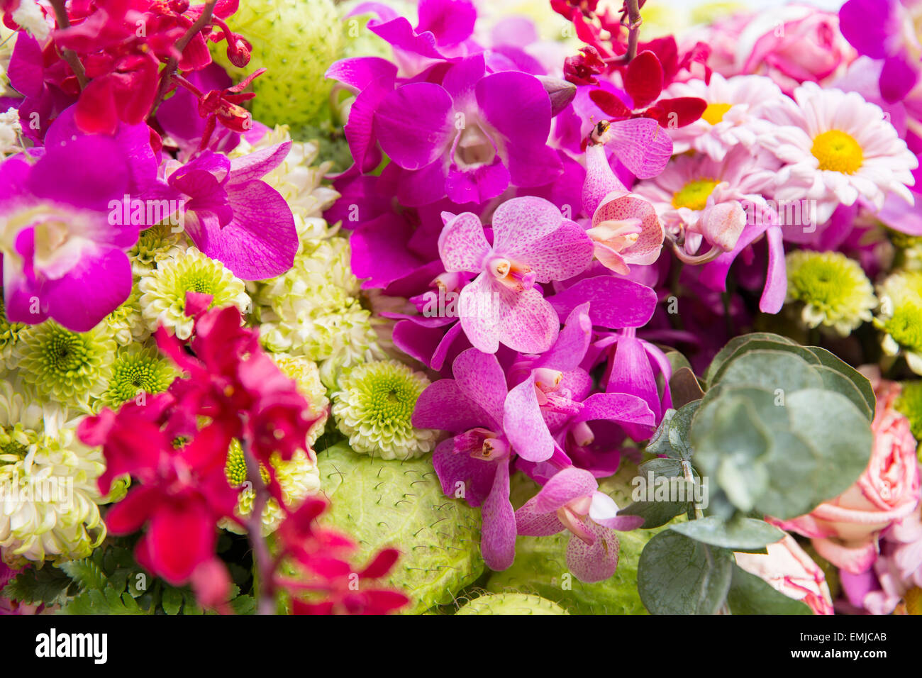 schöne Blumen-Dekoration Stockfoto