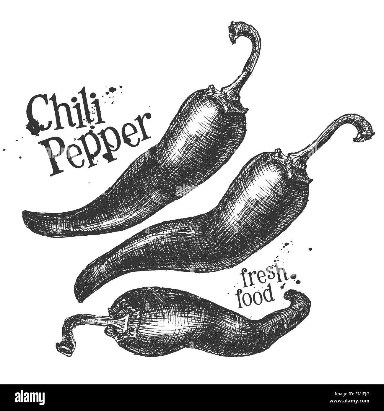 Chili-Pfeffer auf einem weißen Hintergrund. Skizze Stockfoto