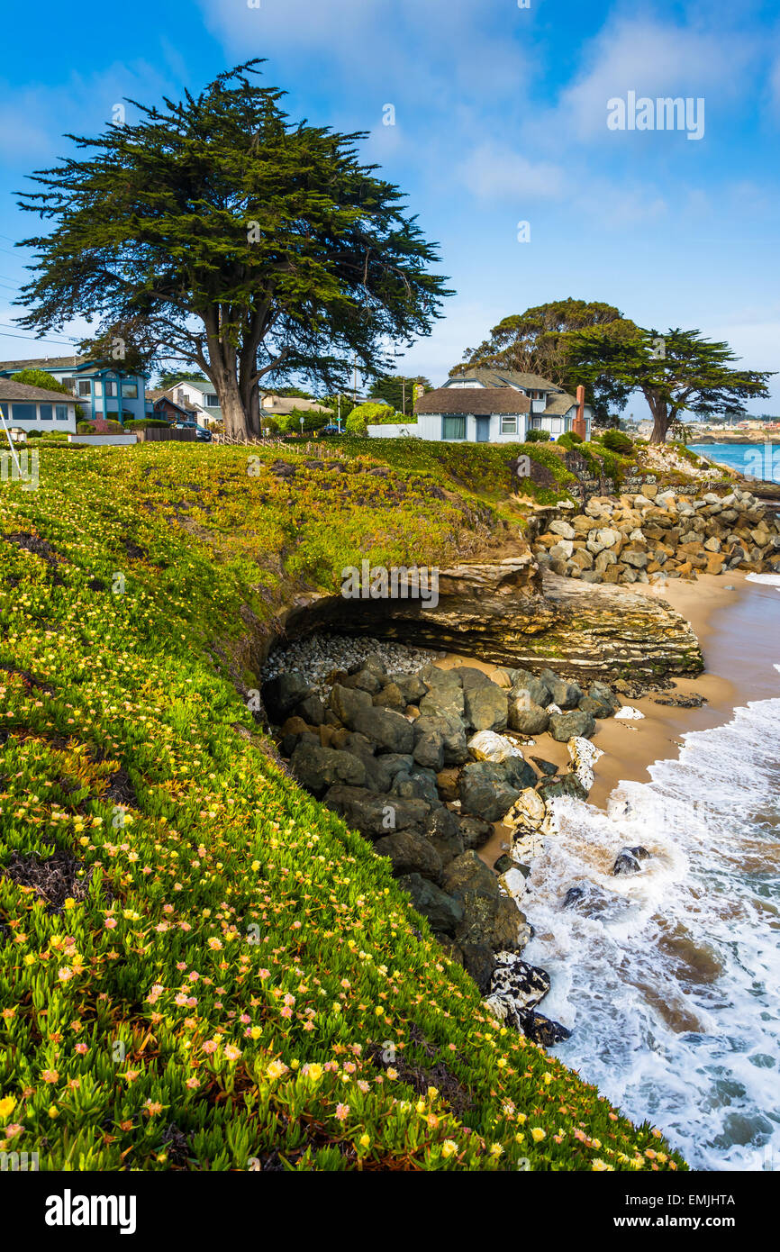 Bluffs entlang des Pazifischen Ozeans in Santa Cruz, Kalifornien. Stockfoto