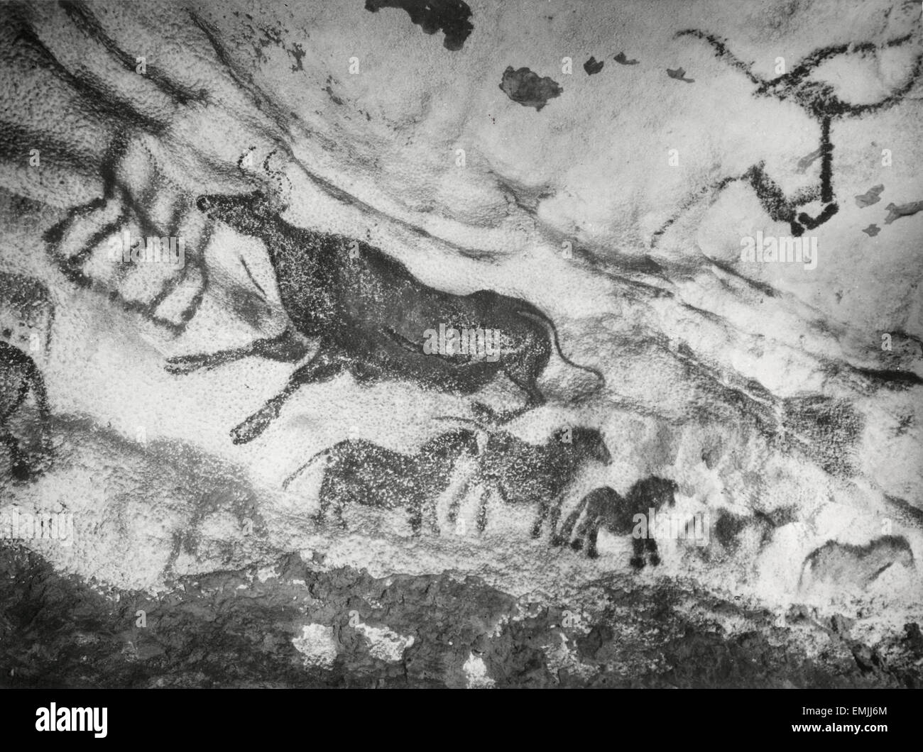 Prähistorische Höhlenmalerei, Lascaux, Frankreich, "Bilder Préhistoriques" Film noch, 1955, Arcady et Rowe Stockfoto