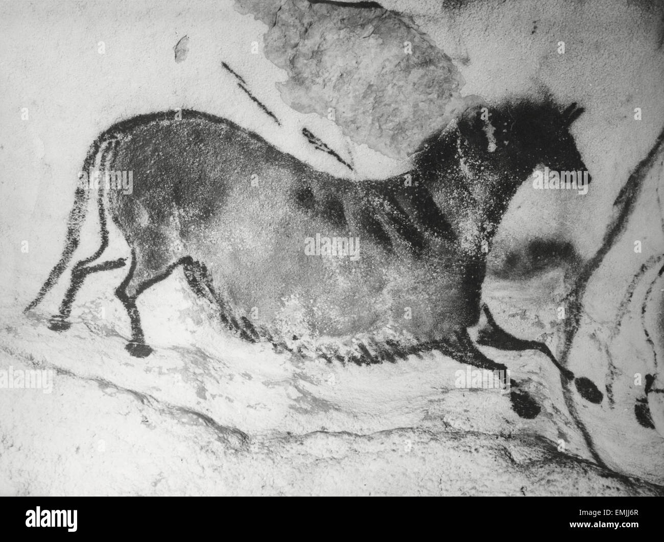 Prähistorische Höhlenmalerei, Lascaux, Frankreich, "Bilder Préhistoriques" Film noch, 1955, Arcady et Rowe Stockfoto