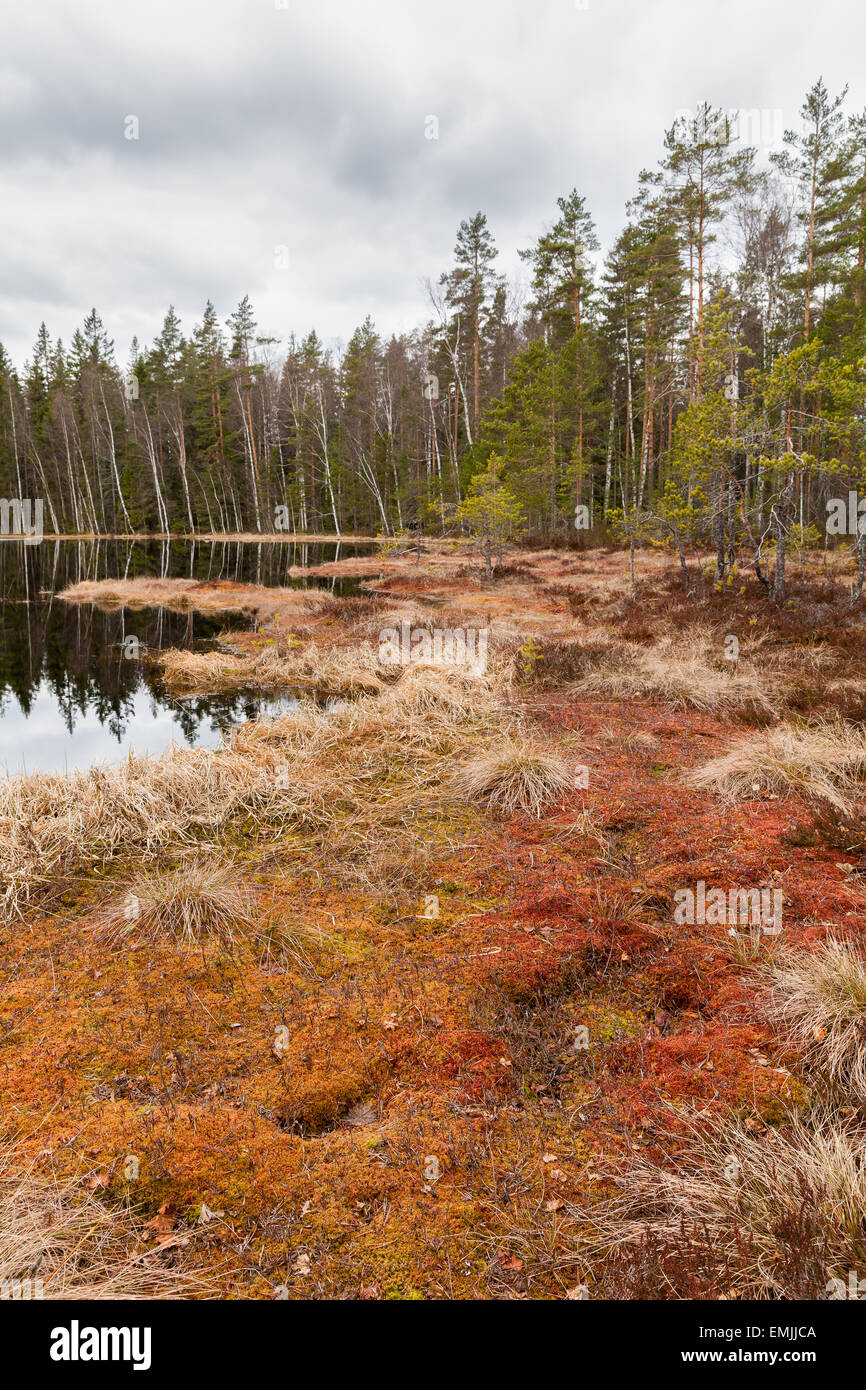 Nuuksio Nationalpark Stockfoto